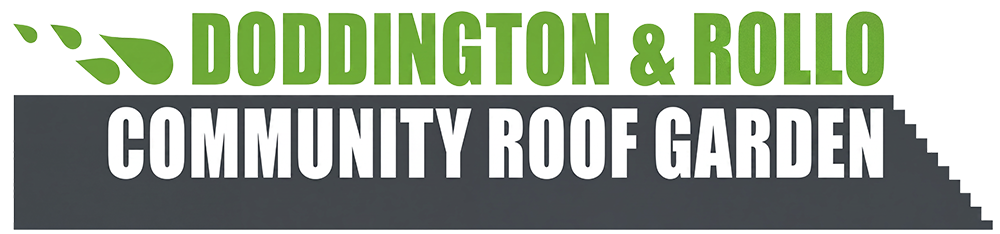 Doddington & Rollo Community Roof Garden