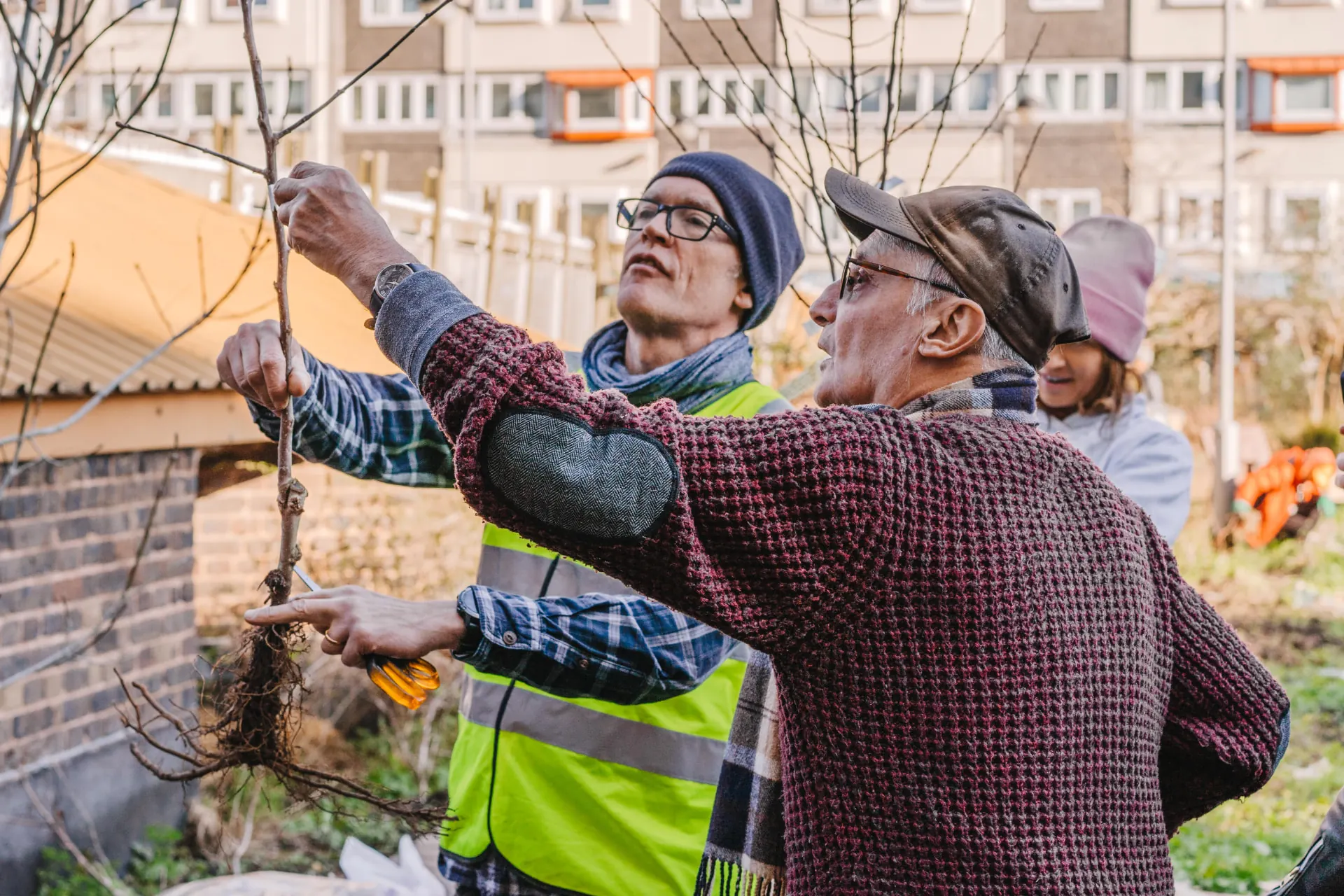 Volunteers planting a young tree together on the Doddington & Rollo Community Roof Garden, a half-acre rooftop garden in Battersea, London